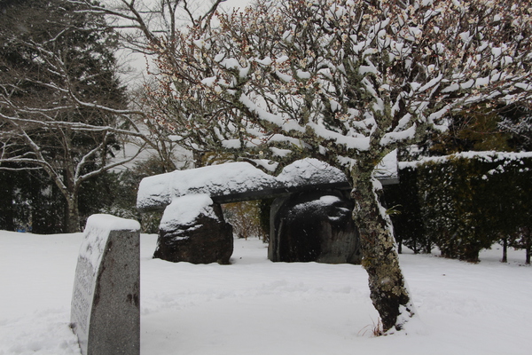 積雪の多久聖廟公園にある筑紫筝（”筑紫琴”）