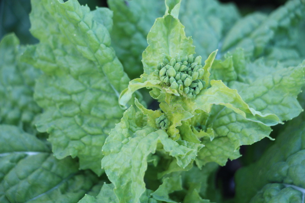 �ڤβ֡�鲤ȼ��ա�/�����Ƥ������ǡ����١���