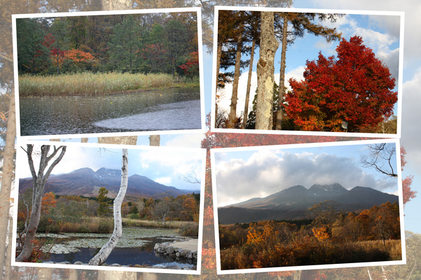 妙高高原 紅葉期の いもり池 癒し憩い画像データベース