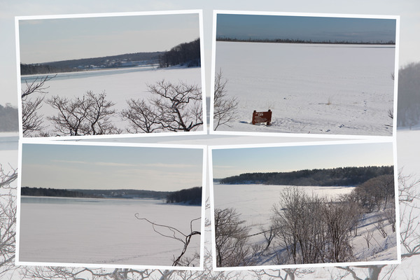 積雪期の道東・風連湖「氷雪の湖面と岸辺」