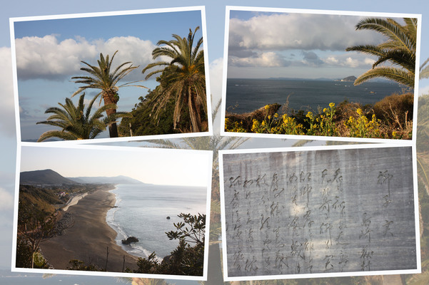 伊良湖岬の海岸と椰子/癒し憩い画像データベース
