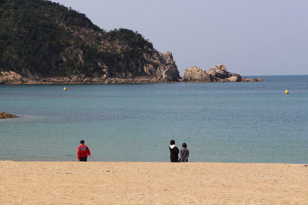 �դλ���ֳ�����������Ω�л��ο����/�����Ƥ������ǡ����١���