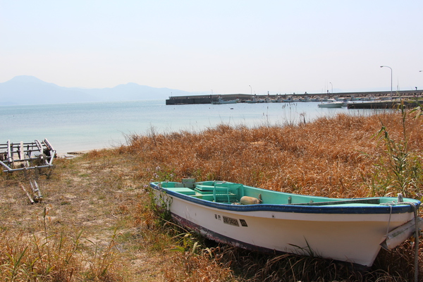 ���դ�Φ�Ⱦ���/�����Ƥ������ǡ����١���