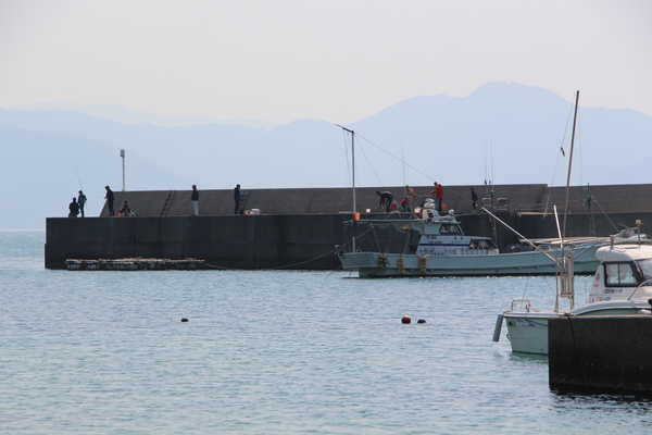 �ղ�γ����ִ��ֵ������Ȼ߾��/�����Ƥ������ǡ����١���