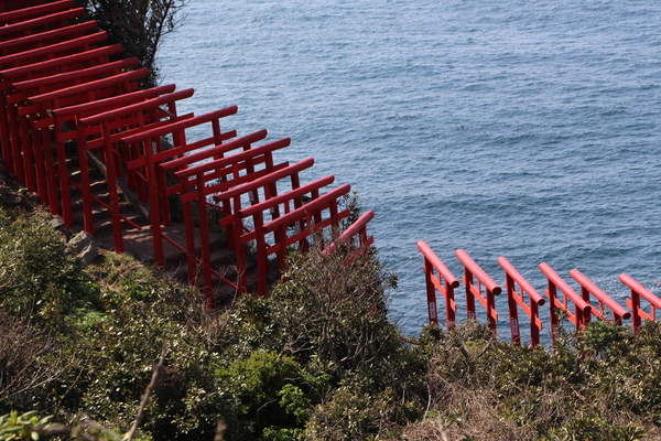 断崖に並ぶ「元乃隅稲荷神社の鳥居群」/癒し憩い画像データベース