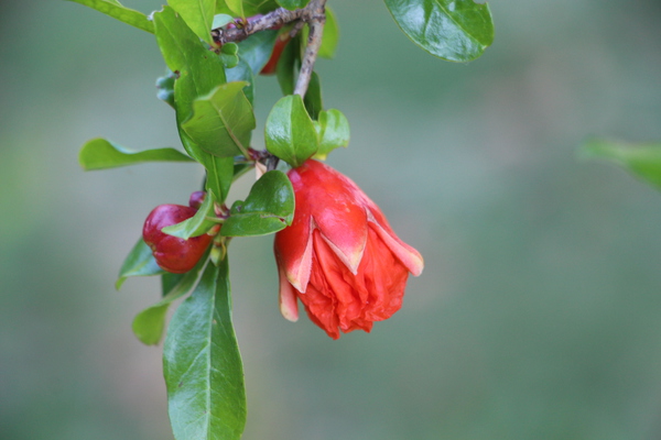 �������γ���/�����Ƥ������ǡ����١���