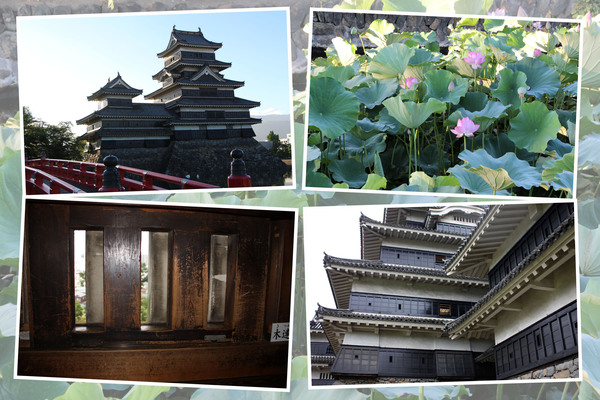 国宝の現存天守閣「夏の松本城」