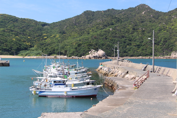 �Ƥλ���ֳ���������/�����Ƥ������ǡ����١���