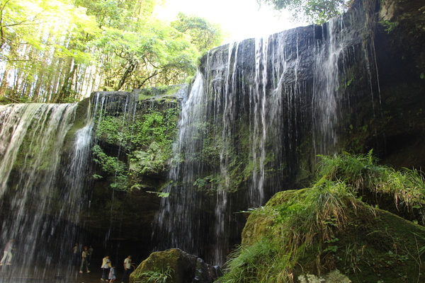 夏・緑葉期の「鍋ヶ滝」