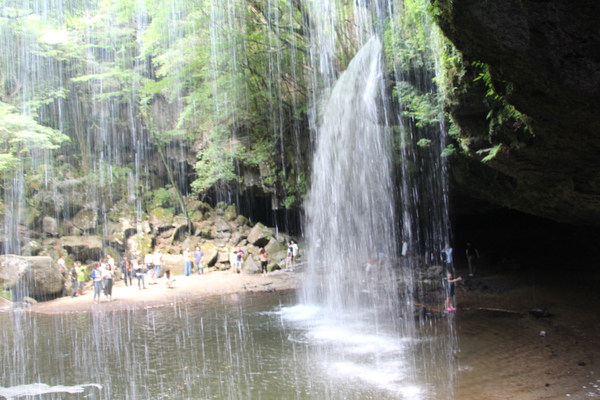 横から見た夏の「鍋ヶ滝（裏見の滝）」と洞窟
