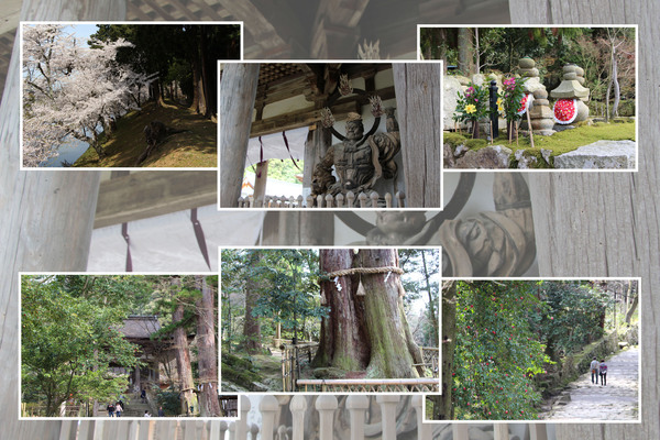 新緑期の湖東・西明寺「参道、二天門、千年杉」/癒し憩い画像データベース