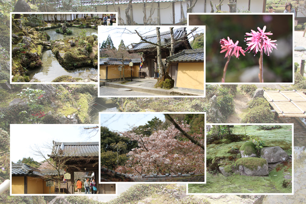 春・新緑期の湖東・西明寺「本坊と庭園」/癒し憩い画像データベース