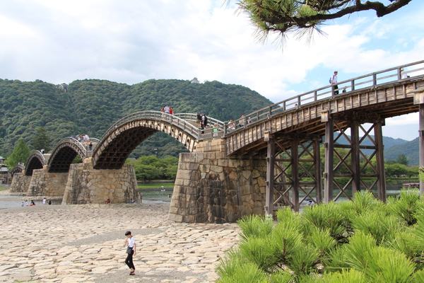 松の葉と錦川に架かる錦帯橋/癒し憩い画像データベース