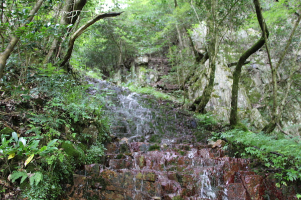夏の三段峡「赤滝の滝口」/癒し憩い画像データベース