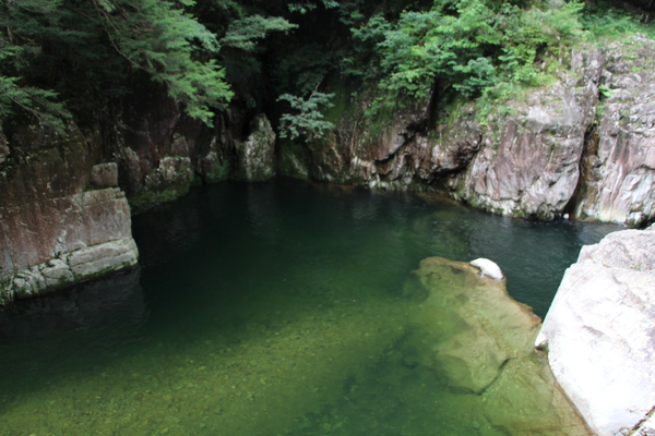 エメラルドグリーンの穏やかな渓流