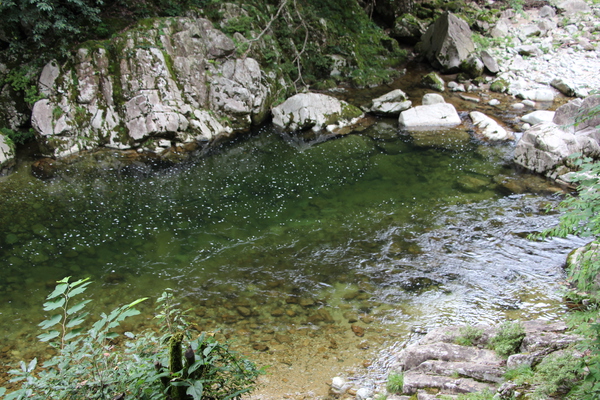 エメラルドグリーンの渓流