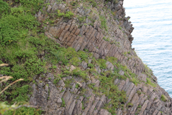 夏の小樽・高島岬「柱状節理の断崖」