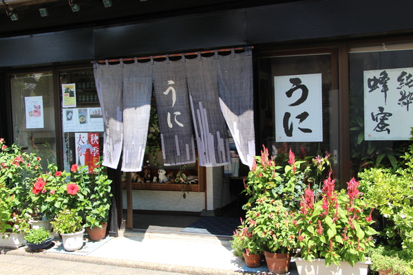 Ų鸮־Ȥ/Ƥǡ١