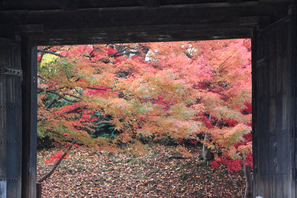 弘前城「南内門から見た秋模様」