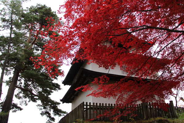 秋の弘前城「辰巳櫓と紅葉」
