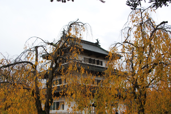 ι֥쥶ۤŷա/Ƥǡ١