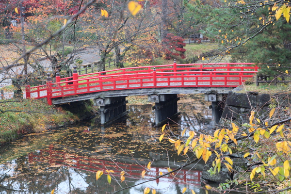 ιּ붶ȹν͡/Ƥǡ١