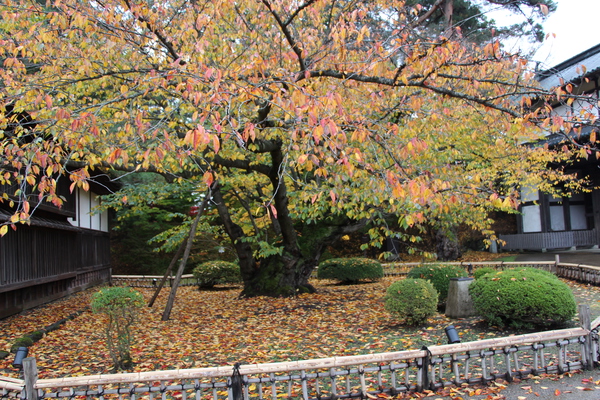 ιܺǸŤΥᥤ襷Ρ/Ƥǡ١