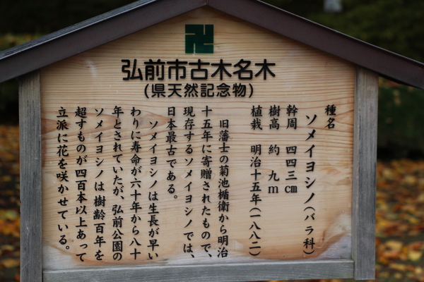 ιָ̾ڤΥᥤ襷ǡ/Ƥǡ١