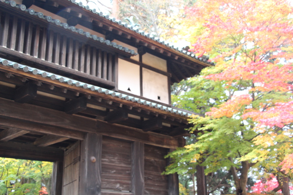 秋の弘前城「東門」/癒し憩い画像データベース
