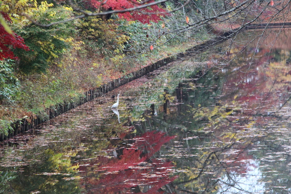 ιֹȹդαơס/Ƥǡ١