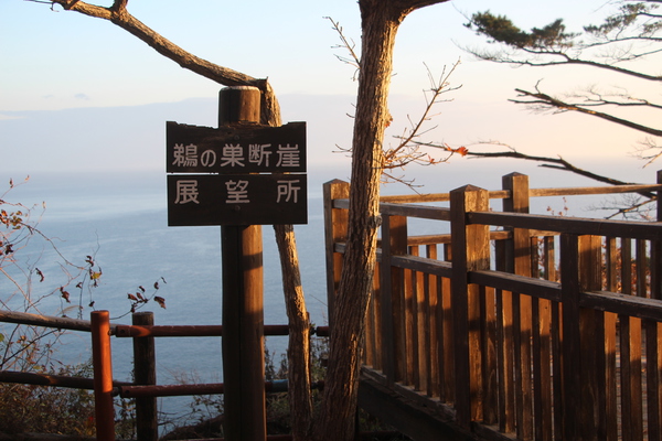 ���Ρֱ������ǳ�Ÿ˾���/�����Ƥ������ǡ����١���