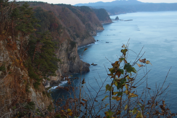 ���Ρֱ������ǳ�����ʿ�Ρ�/�����Ƥ������ǡ����١���