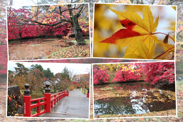秋の弘前城「鷹丘橋と濠」/癒し憩い画像データベース