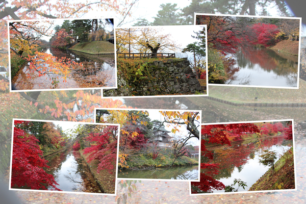 秋・紅葉期の弘前城「濠と石垣」/癒し憩い画像データベース