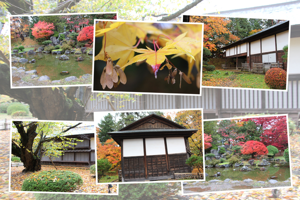 秋・紅葉期の弘前城「池山と与力番所」/癒し憩い画像データベース