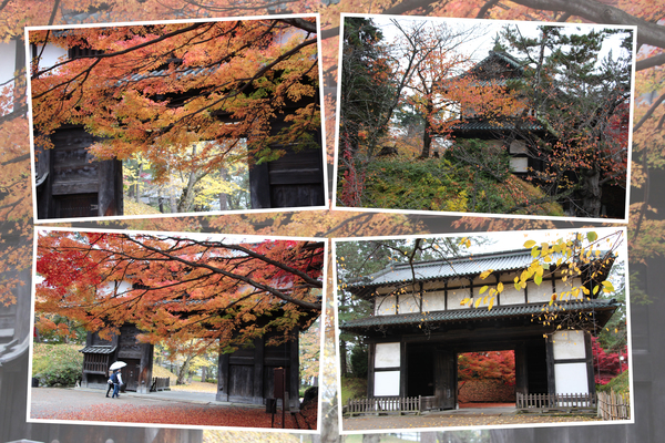 秋・紅葉期の弘前城「二の丸・南門」/癒し憩い画像データベース