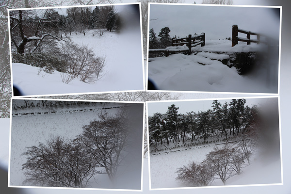 冬・積雪期の弘前城「蓮池と周辺」