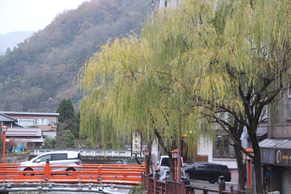 秋の湯村温泉「柳の並木」/癒し憩い画像データベース