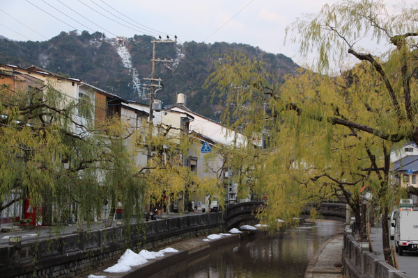 冬の城崎温泉街「枝垂れ柳」/癒し憩い画像データベース