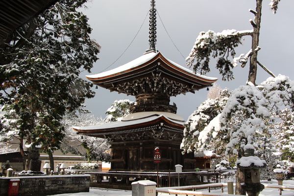 積雪の智恩寺「多宝塔」