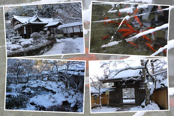 積雪期の西明寺「本坊と庭園」