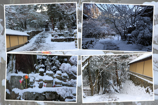 冬・積雪期の西明寺「参道の風情」/癒し憩い画像データベース