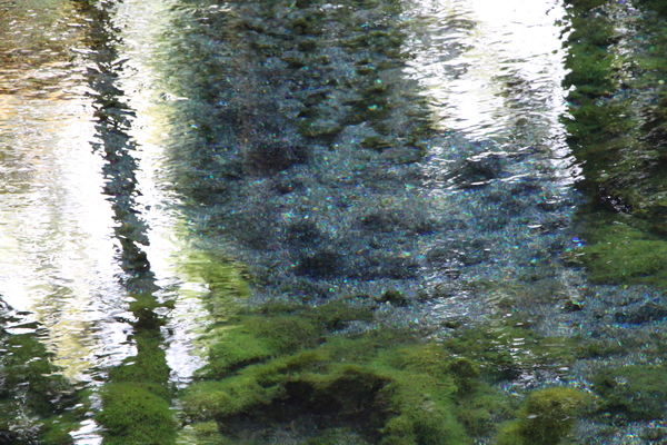 白川水源「揺れる水面」/癒し憩い画像データベース
