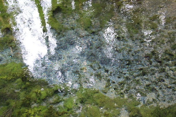 南阿蘇の「白川水源」/癒し憩い画像データベース