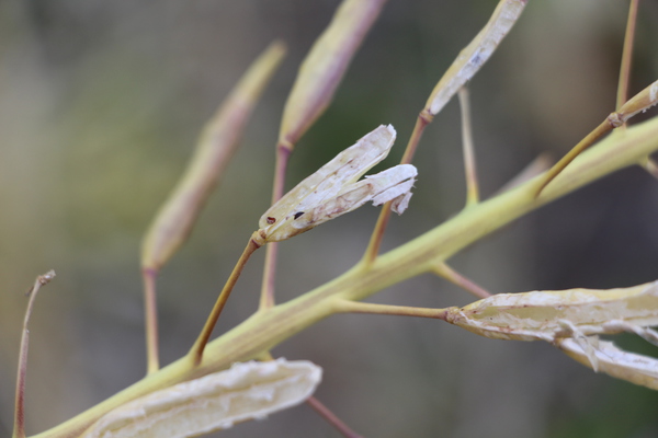 �ʥΥϥʤΡָϤ�¤Ⱦ����ʼ�ҡ�/�����Ƥ������ǡ����١���