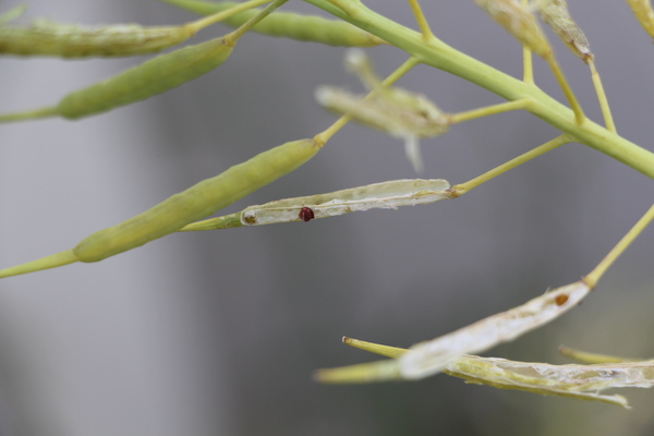 �ʥΥϥʤΡָϤ�¡�財ˤȾ����ʼ�ҡ�/�����Ƥ������ǡ����١���