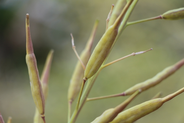 �쿧�ˤʤäƤ椯�֥ʥΥϥʤμ¡�財ˡ�/�����Ƥ������ǡ����١���