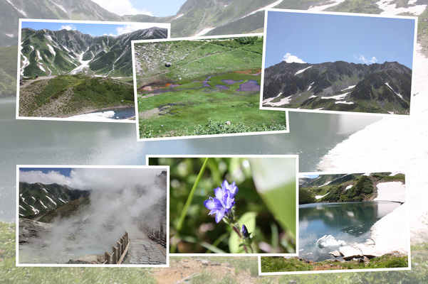 夏の立山「室堂の景観」/癒し憩い画像データベース