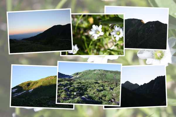 夏の立山「日の出前の景色」/癒し憩い画像データベース