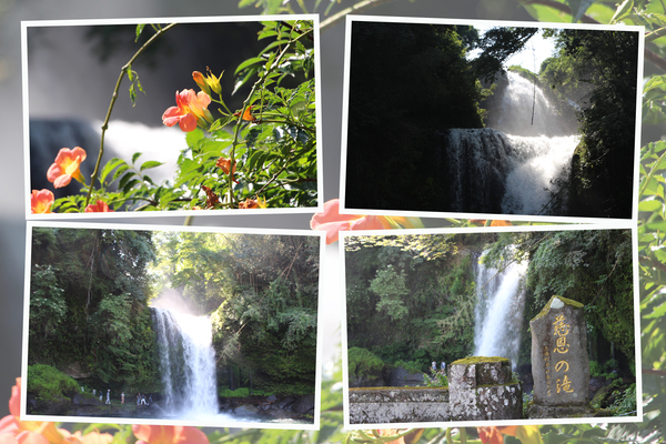 夏の「慈恩の滝」/癒し憩い画像データベース